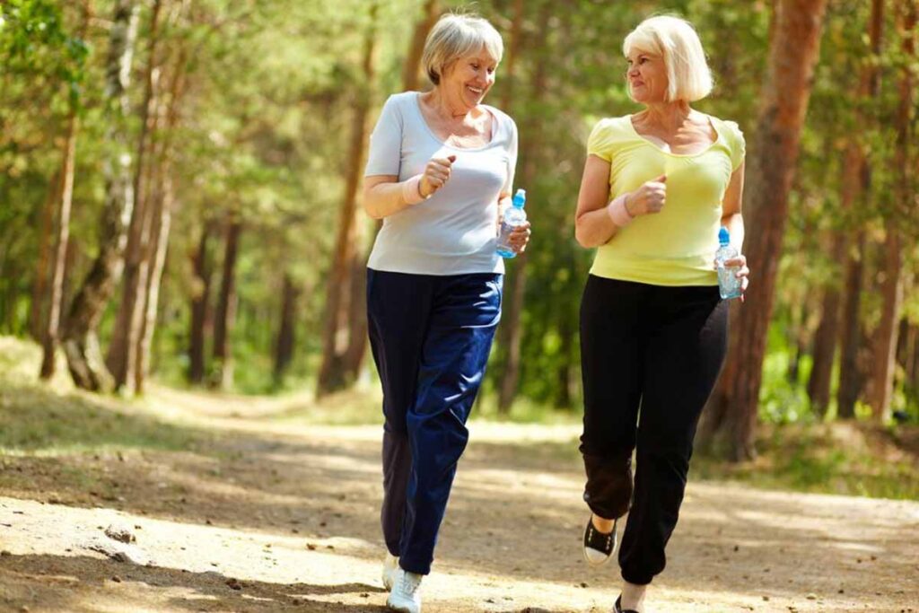 Impact of WB-EMS on body composition in elderly women at risk for sarcopenia