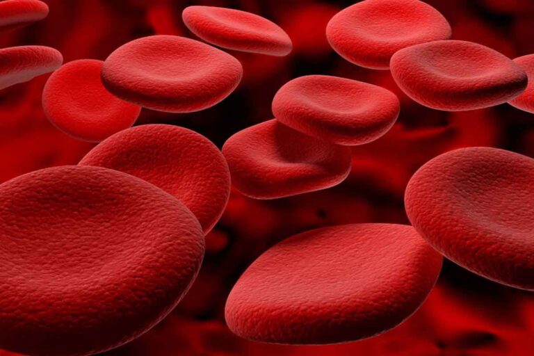 electrostimulation on human red blood cell deformability